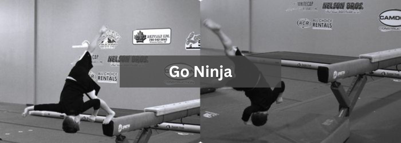 Ninja